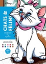 Chats & Felins